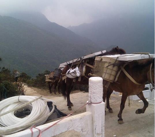 海南山区马帮运输