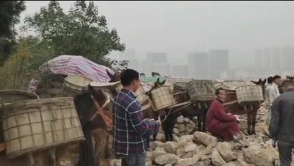 海南骡马山区运输