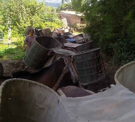 海南骡马运输队