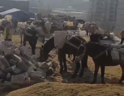 海南马队山路运输