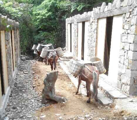 海南马队运输队